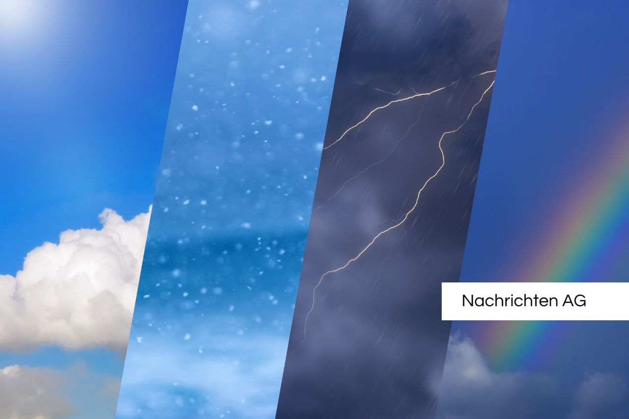 Pasewalker Flohmarkt wird vom Regen überschwemmt – Händler packen ein!
