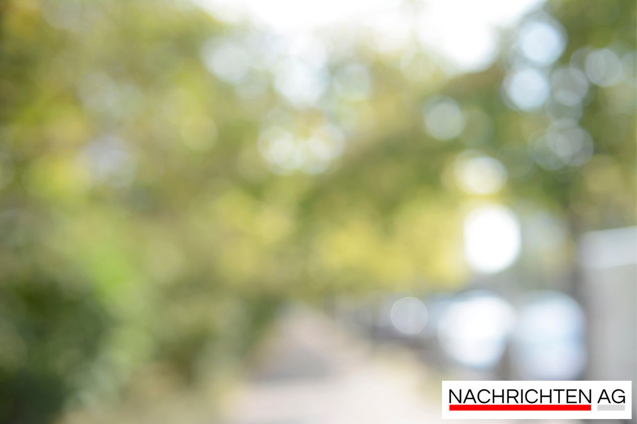 Bürgerschaft Wismar beschließt drastische Grundsteuererhöhung – Protest wächst!