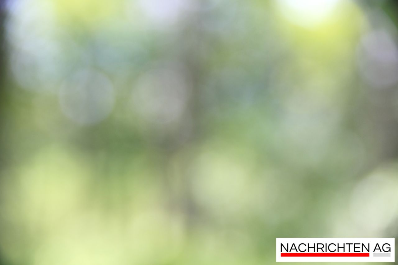 Neubrandenburgs Märchenwoche: Magie für die ganze Familie!