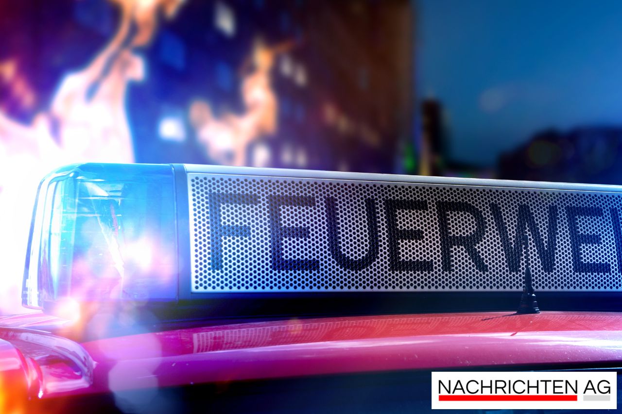 Drama in Wolgast: Katze drei Tage im Baum gefangen – Rettung gelingt!